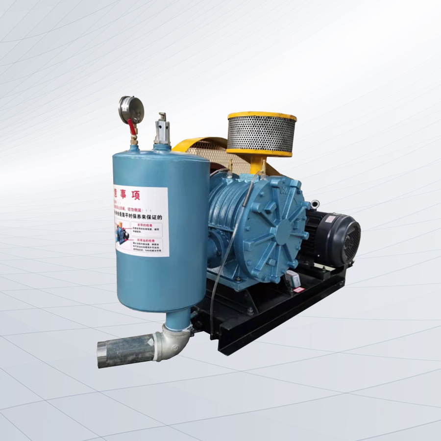 HC301S型回轉(zhuǎn)鼓風(fēng)機